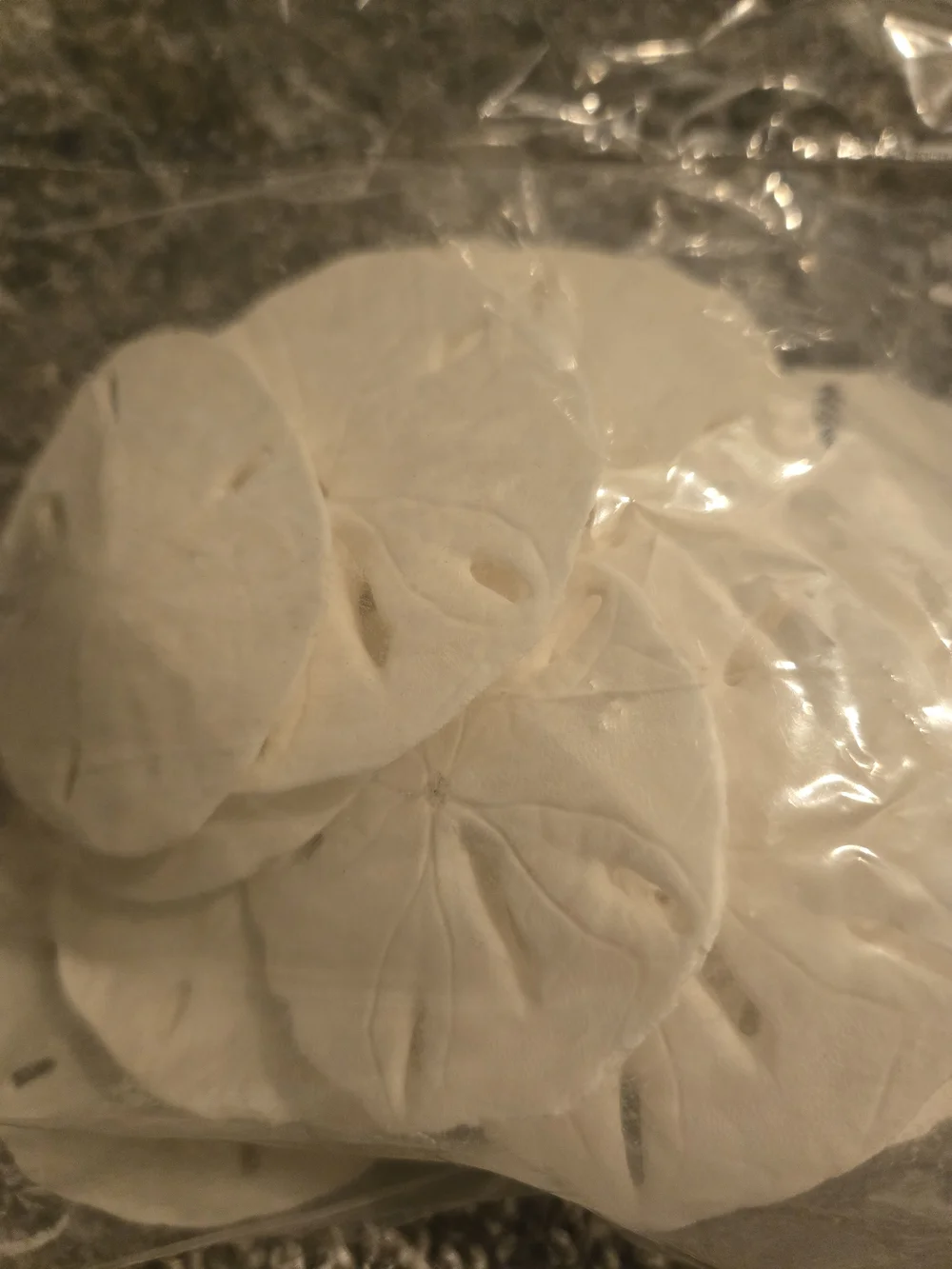 Pack of White Sand Dollars - Natural Sea Shells